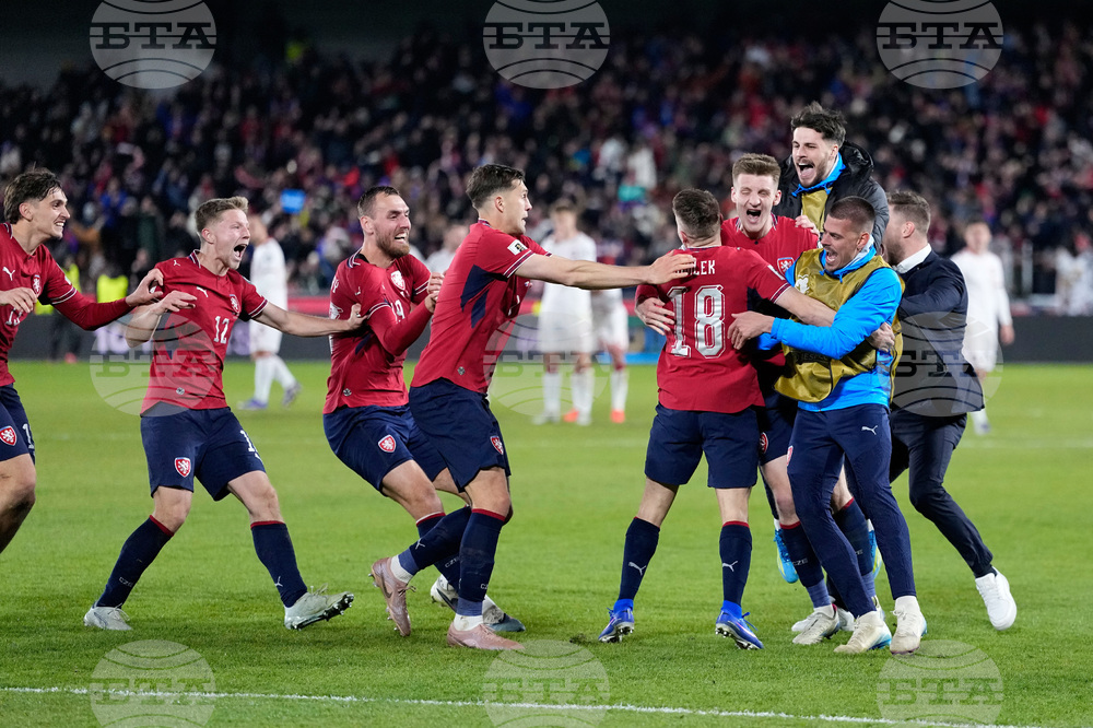 Czechia Denmark WCup Soccer