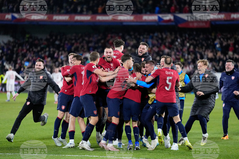 Czechia Denmark WCup Soccer