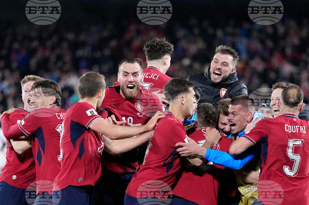 Czechia Denmark WCup Soccer