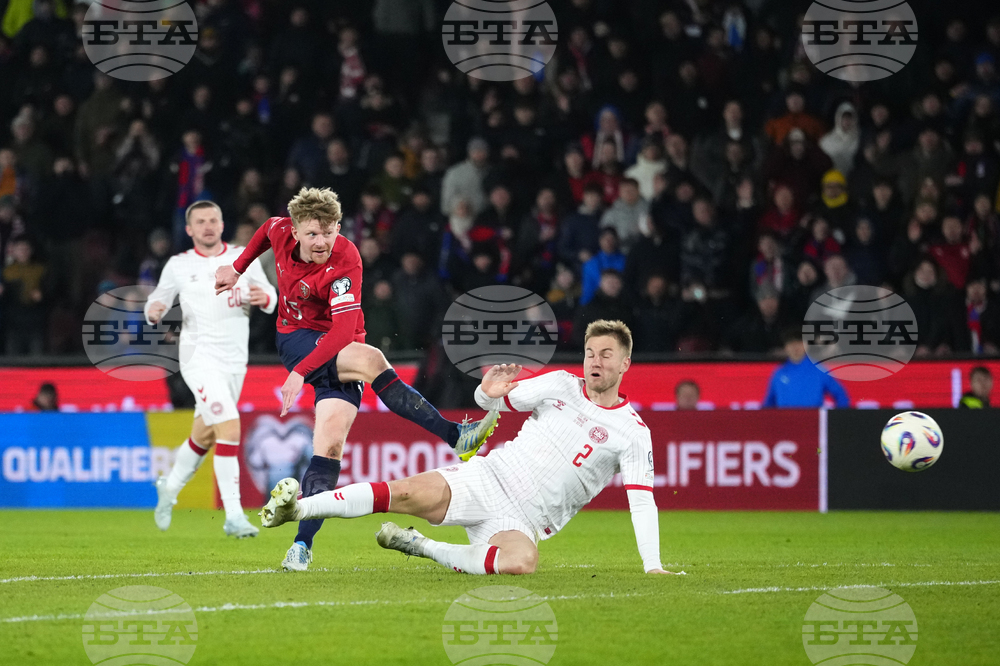 Czechia Denmark WCup Soccer