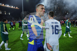 Bosnia Italy WCup Soccer