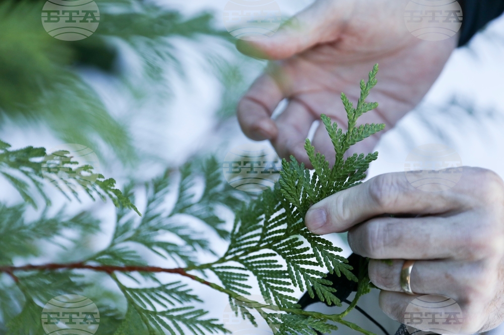 US Forest Service Relocating
