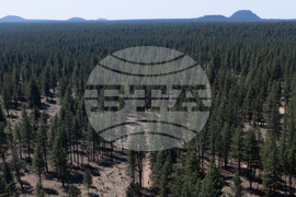 US Forest Service Relocating