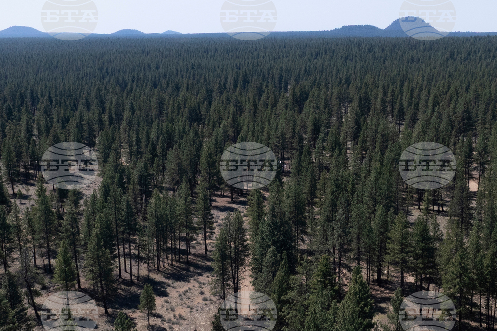 US Forest Service Relocating