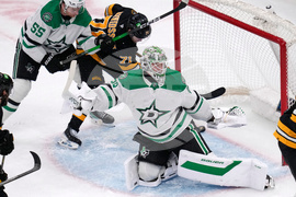 Stars Bruins Hockey