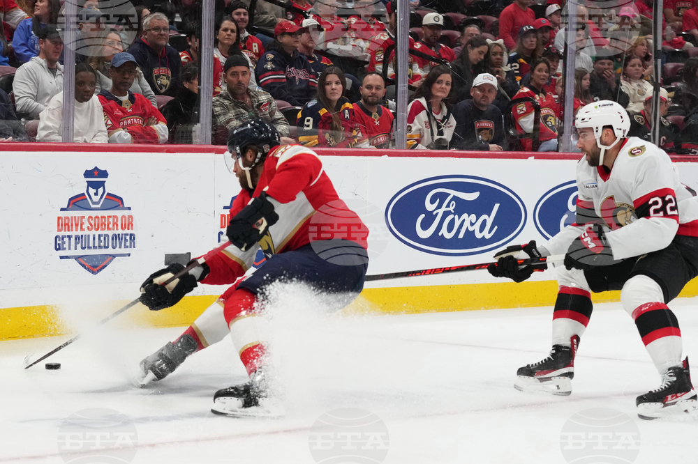 Senators Panthers Hockey