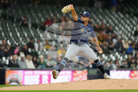 Rays Brewers Baseball