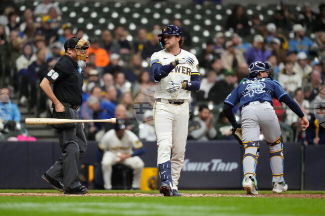 Rays Brewers Baseball