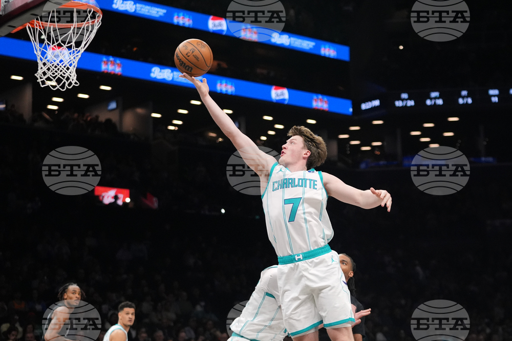 Hornets Nets Basketball