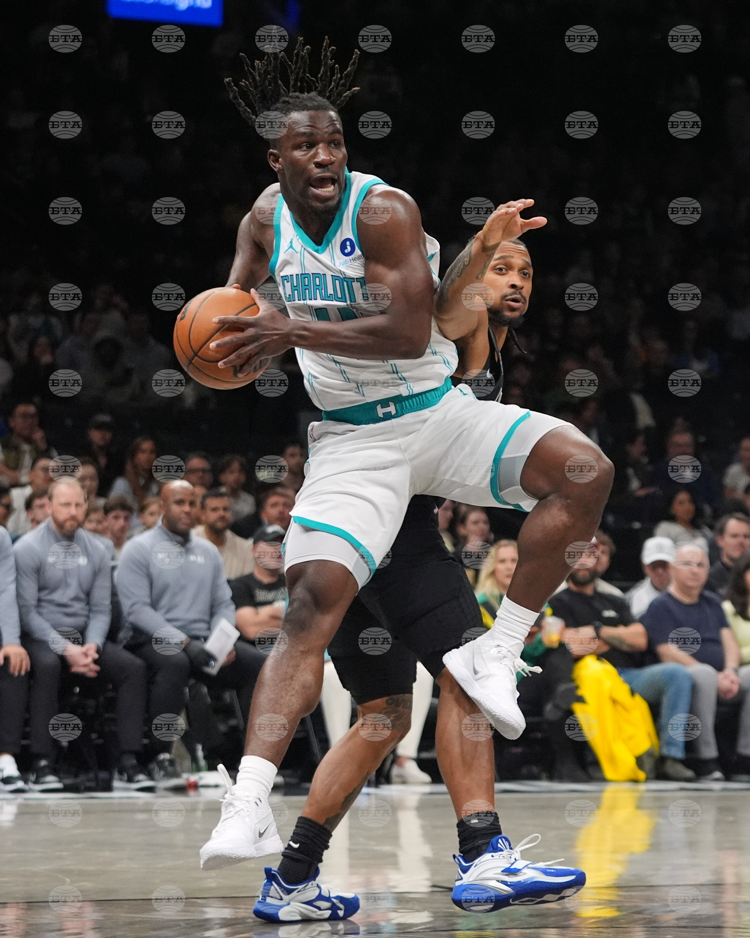 Hornets Nets Basketball