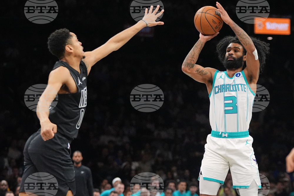 Hornets Nets Basketball