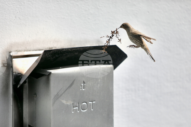 Washington Daily Life