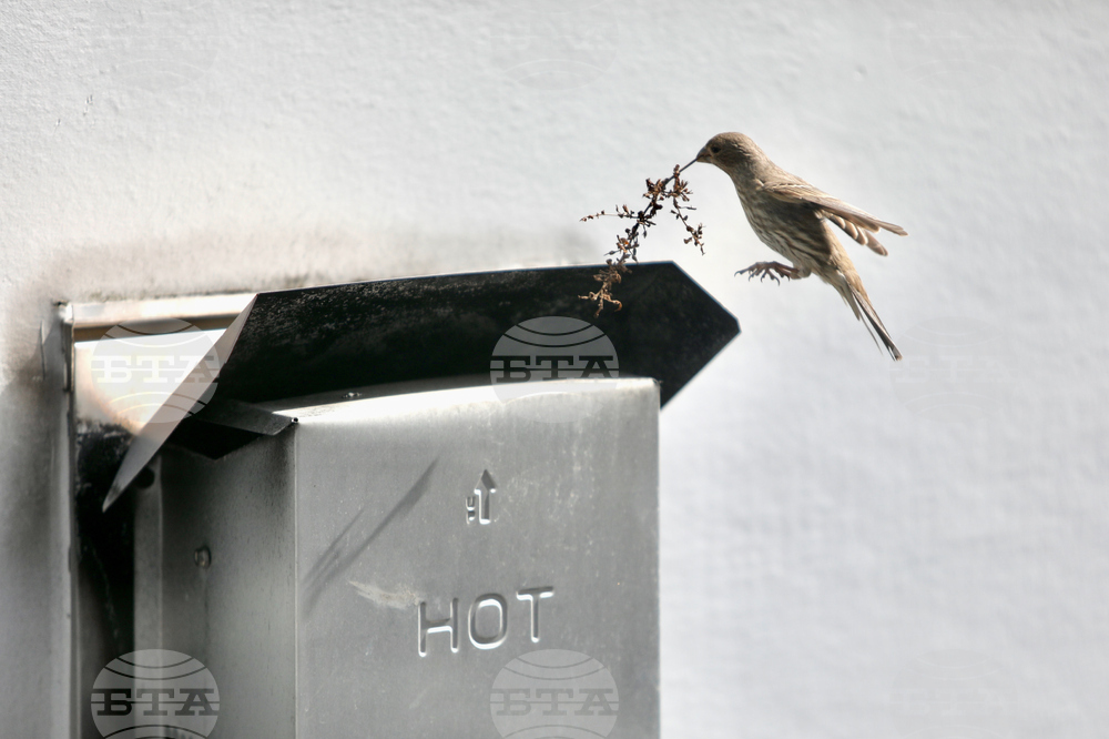 Washington Daily Life