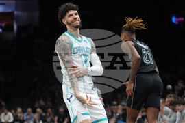 Hornets Nets Basketball