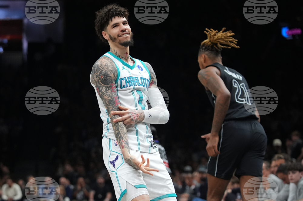 Hornets Nets Basketball