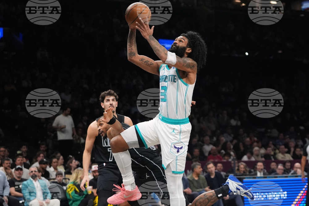 Hornets Nets Basketball