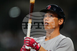 Red Sox Astros Baseball