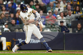 Rays Brewers Baseball