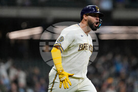 Rays Brewers Baseball