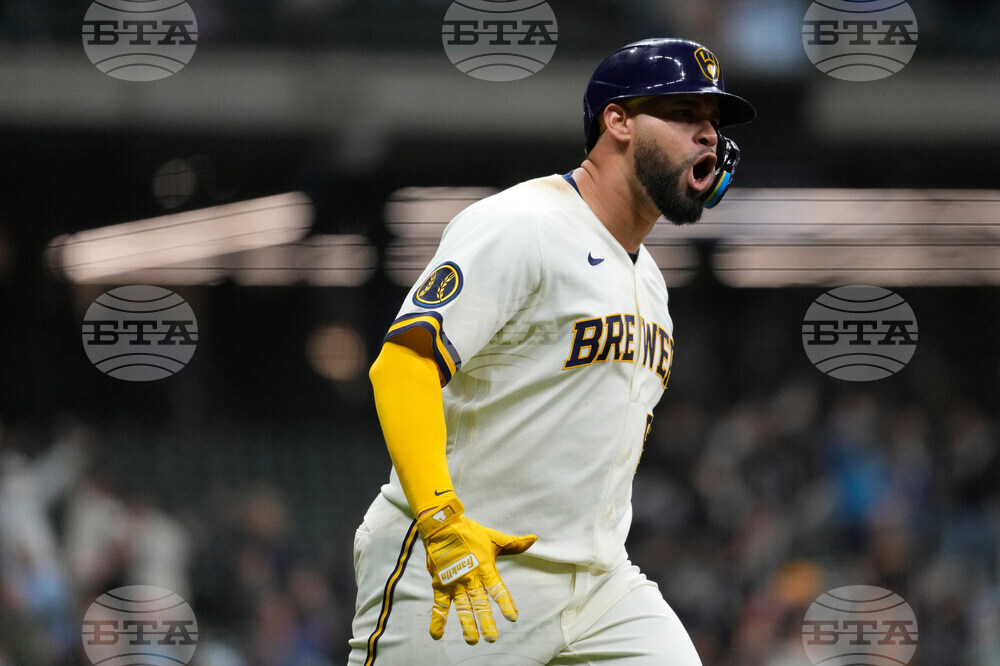 Rays Brewers Baseball