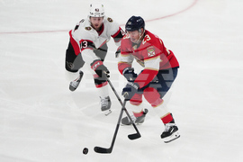 Senators Panthers Hockey
