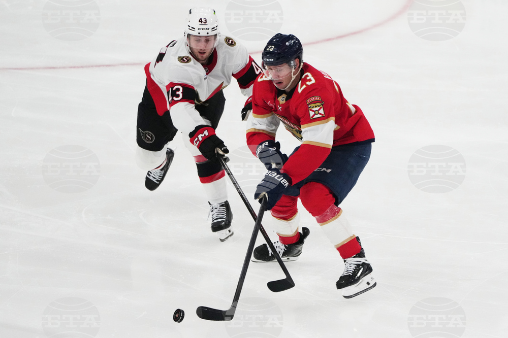 Senators Panthers Hockey