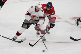 Senators Panthers Hockey