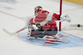 Senators Panthers Hockey