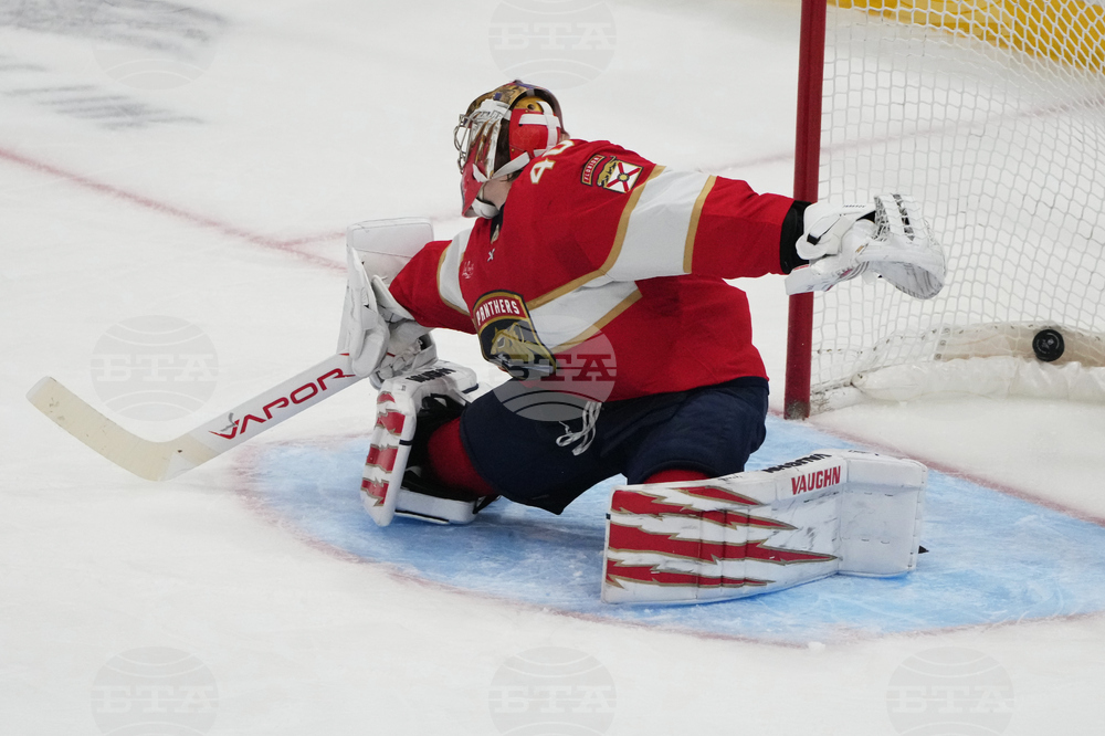 Senators Panthers Hockey