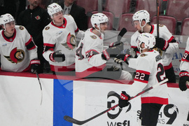 Senators Panthers Hockey