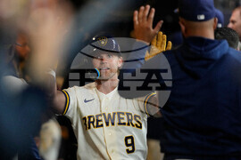 Rays Brewers Baseball