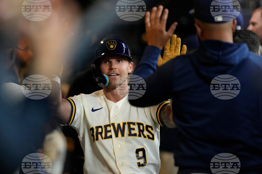 Rays Brewers Baseball