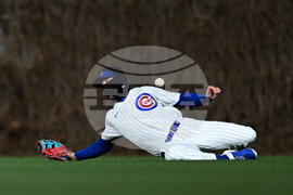 Angels Cubs Baseball