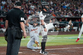 Tigers Diamondbacks Baseball