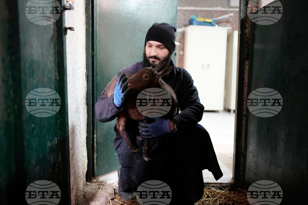 Be Well Orthodox Fast