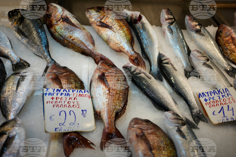 Be Well Orthodox Fast