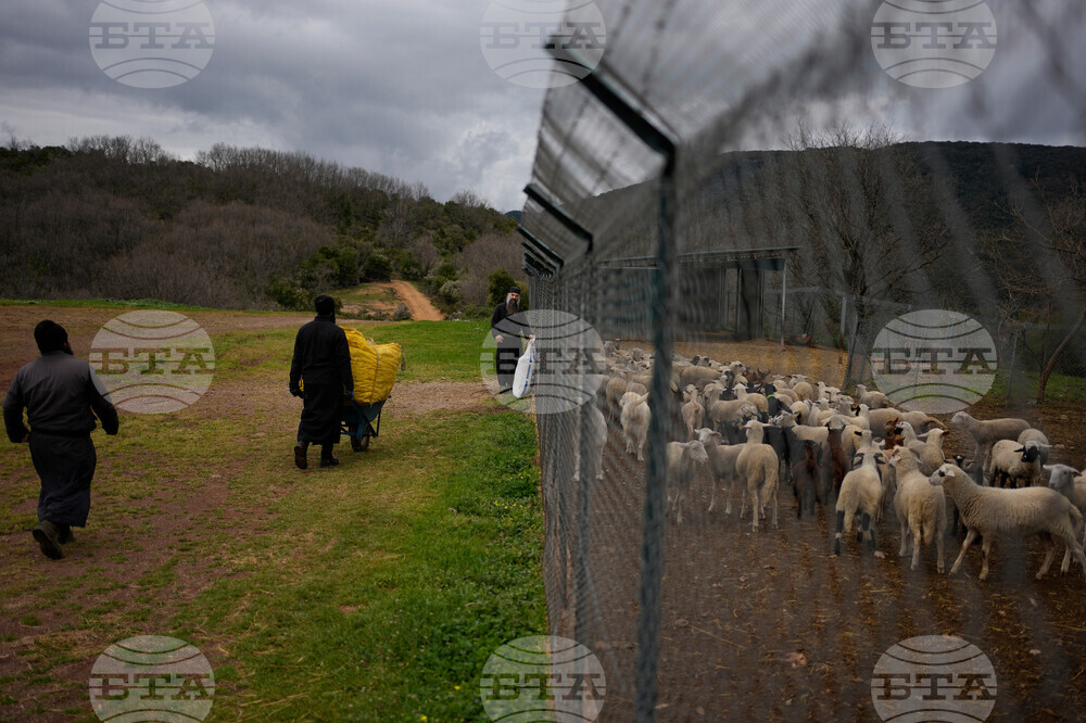 Be Well Orthodox Fast