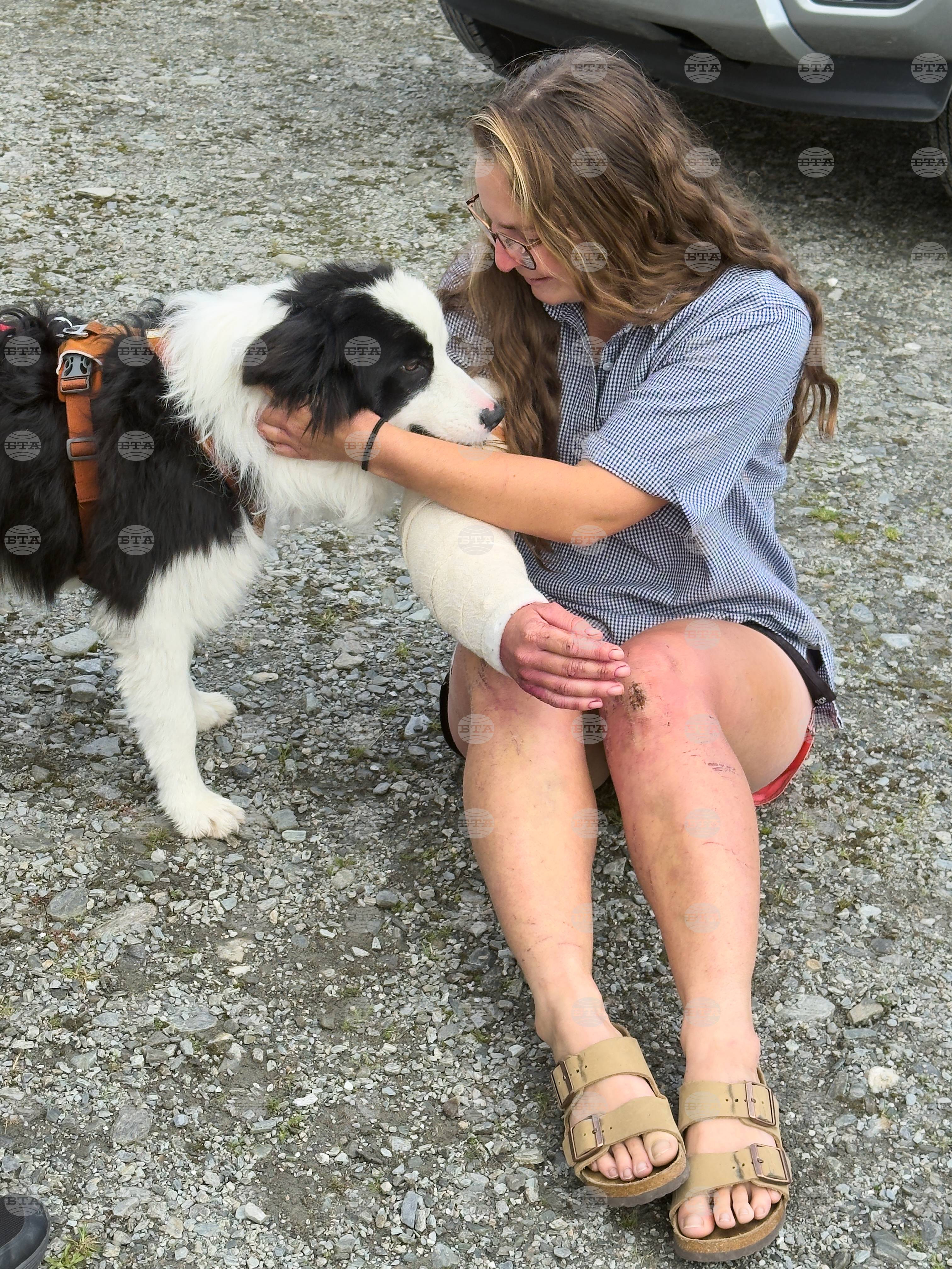 New Zealand Dog Rescue