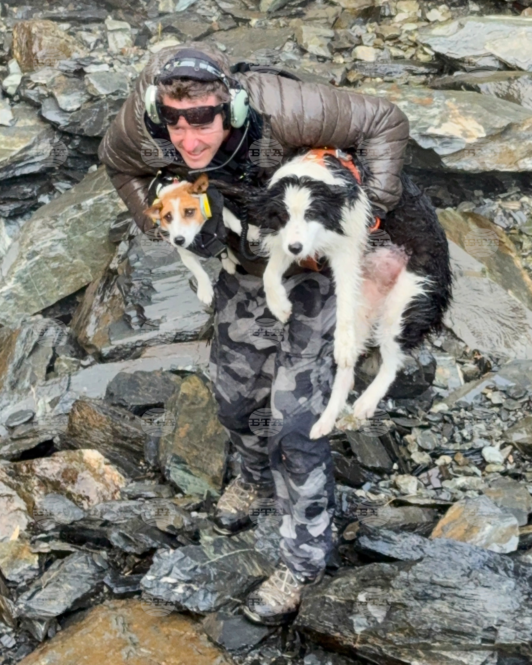 New Zealand Dog Rescue