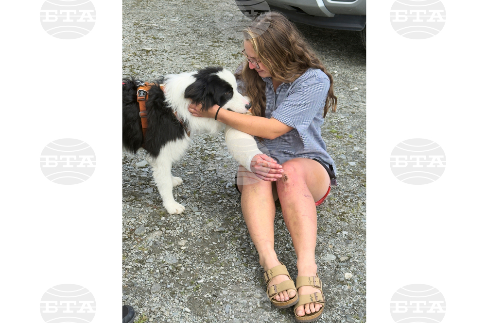 New Zealand Dog Rescue