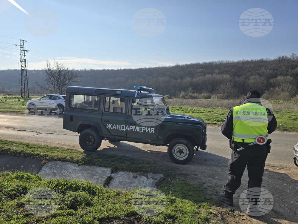 Плевен - избори - полиция