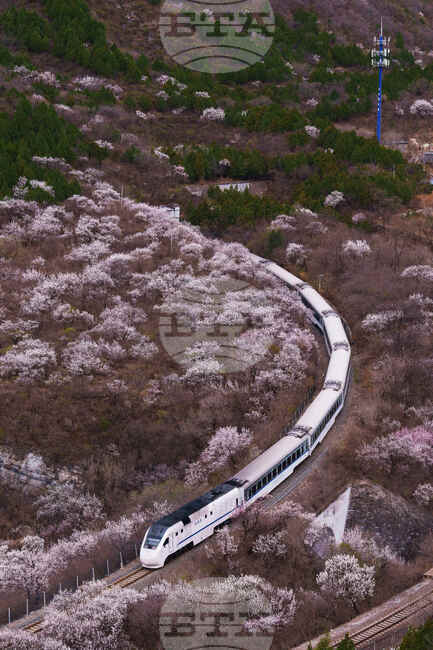 Top Vertical Photos Photo Gallery