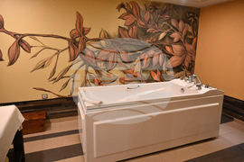 Вършец - хотел „Ата" представяне