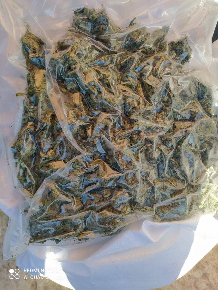 Окръжна прокуратура – Бургас привлече към наказателна отговорност пет лица, участващи в организирана престъпна група за държане и разпространение на марихуана