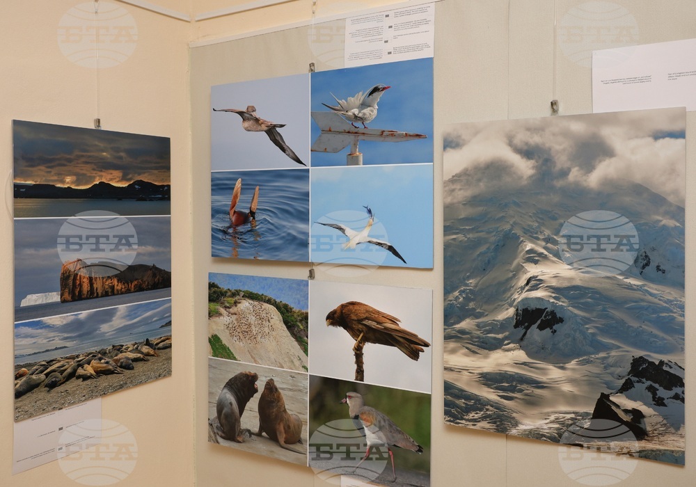 Варна - „С полета на птиците по пътя към Антарктида“ - фотоизложба