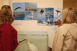 Варна - „С полета на птиците по пътя към Антарктида“ - фотоизложба