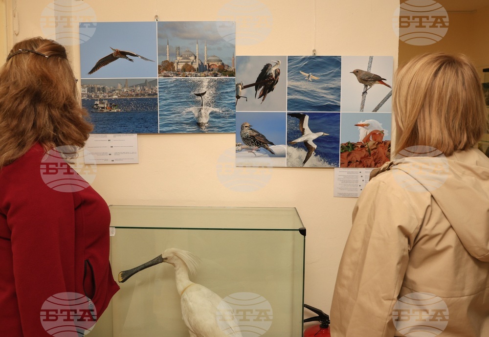 Варна - „С полета на птиците по пътя към Антарктида“ - фотоизложба