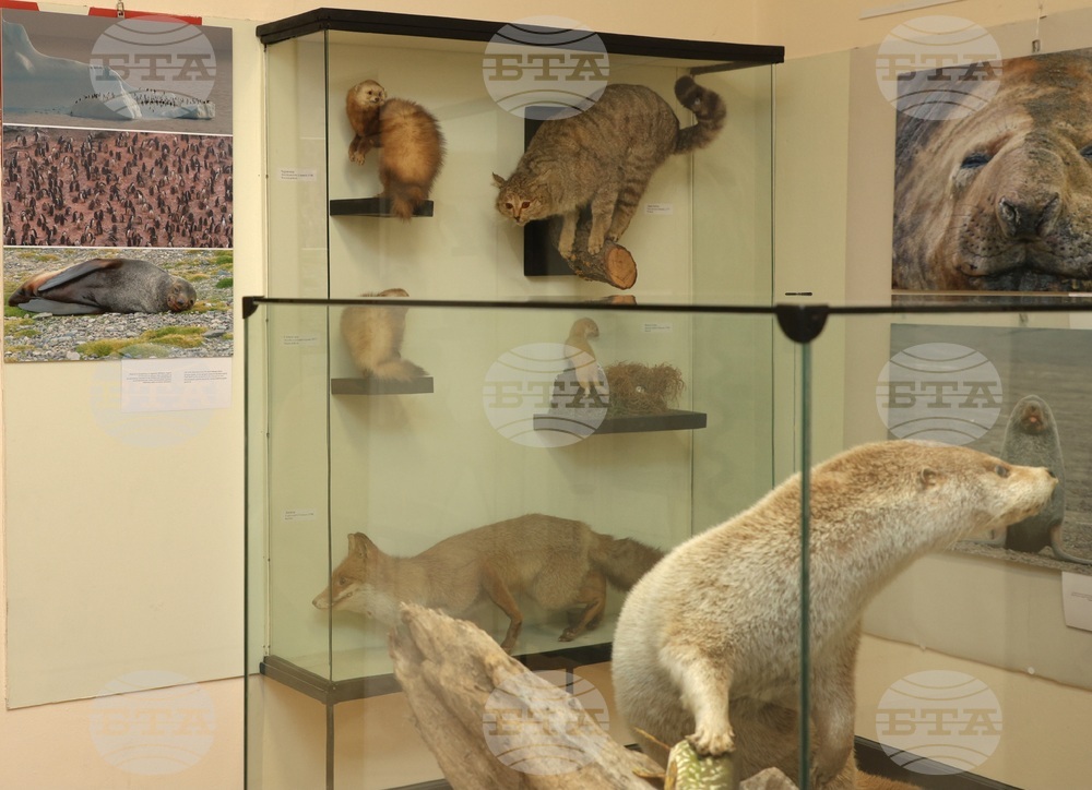 Варна - „С полета на птиците по пътя към Антарктида“ - фотоизложба