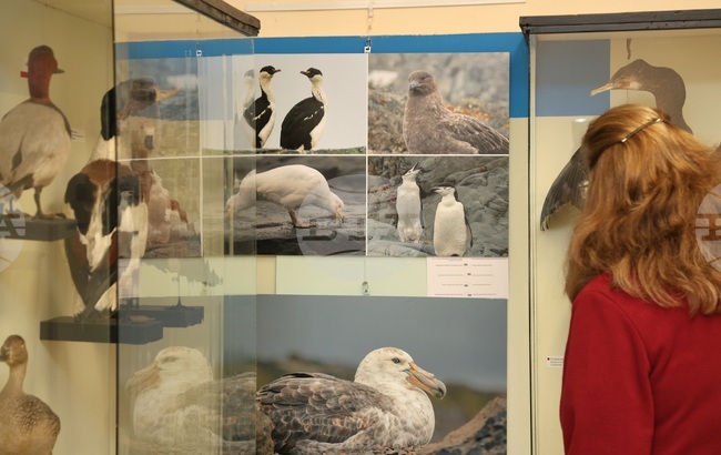 Варна - „С полета на птиците по пътя към Антарктида“ - фотоизложба