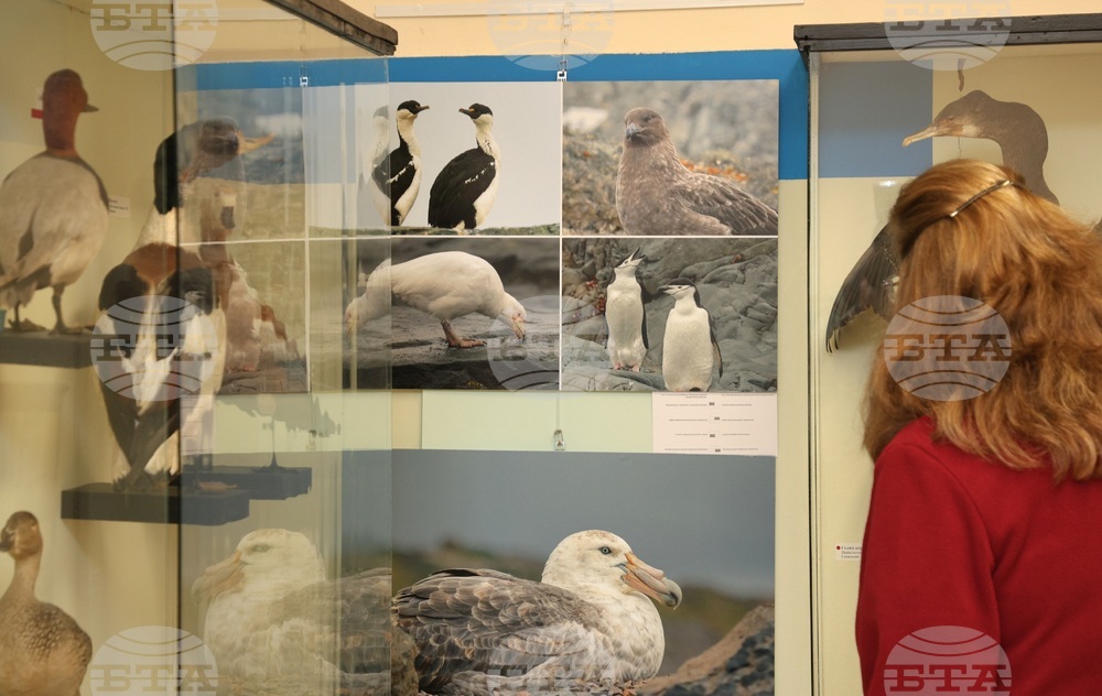 Варна - „С полета на птиците по пътя към Антарктида“ - фотоизложба